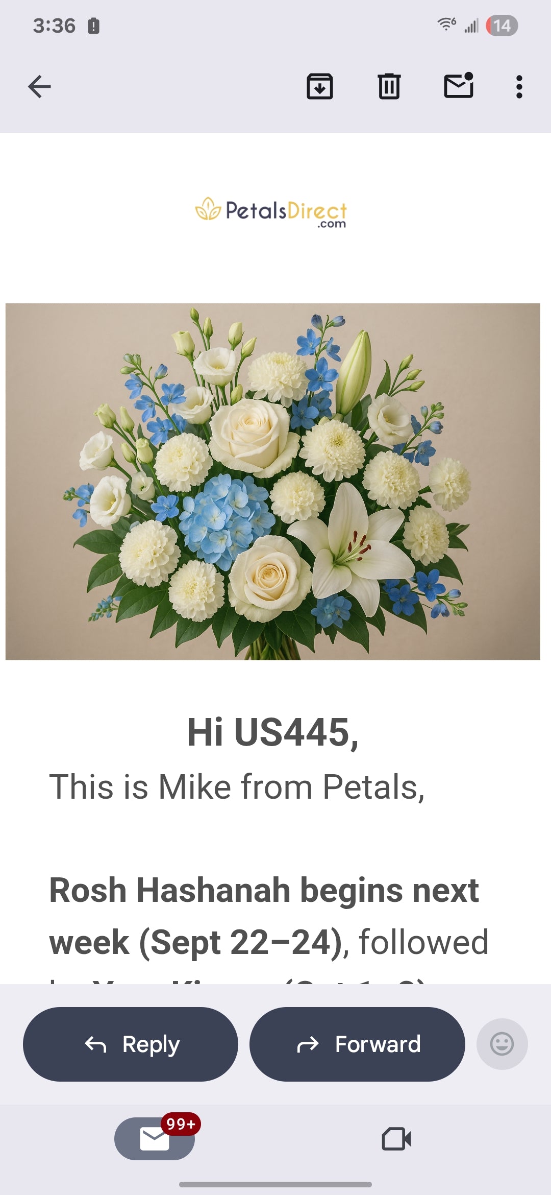 Large Blue and White Vase