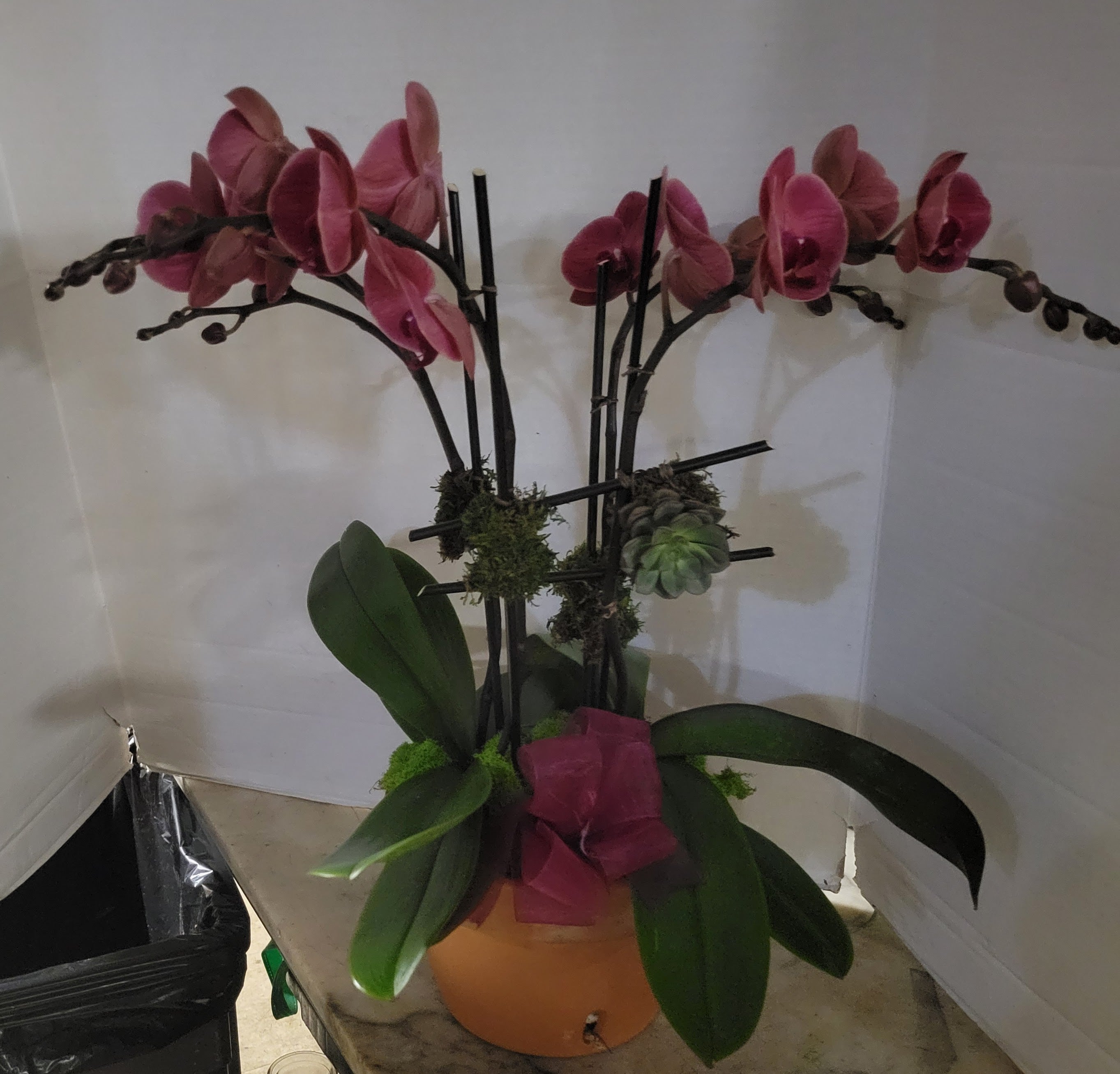 Shades of Purple Orchids 4 stems